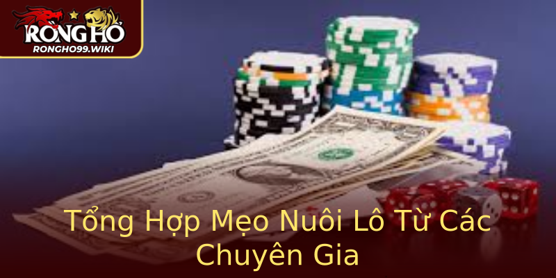 Tổng Hợp Mẹo Nuôi Lô Từ Các Chuyên Gia Tổng Hợp Mẹo Nuôi Lô Từ Các Chuyên Gia