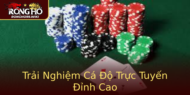 Trải Nghiệm Cá Độ Trực Tuyến Đỉnh Cao Trải Nghiệm Cá Độ Trực Tuyến Đỉnh Cao
